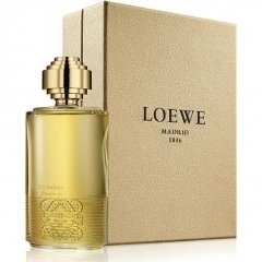 Un Paseo por Madrid - Tras la tormenta en el Jardín Botánico